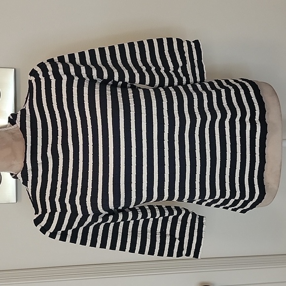 Talbots Size PM, Navy Blue And Ivory Striped, Mock Neck, Puff Sleeves, EUC - Picture 1 of 9